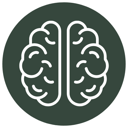 Íncone-Categoria-do-Blog-Neurociência-Pedro-Urzedo Íncone-Categoria-do-Blog-Neurociência-Pedro-Urzedo